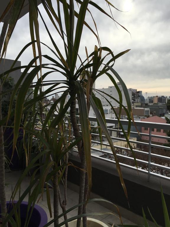 Gorriti Palace Buenos Aires Ngoại thất bức ảnh
